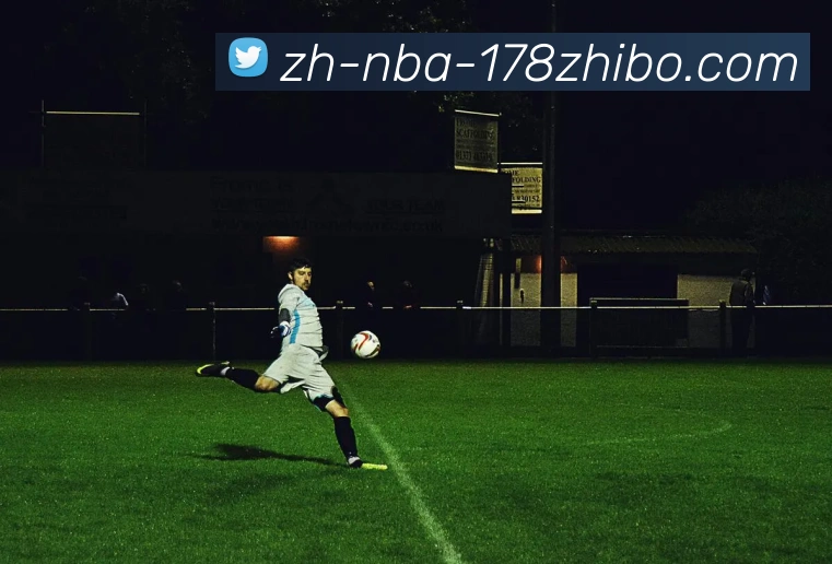 178体育直播平台生态图